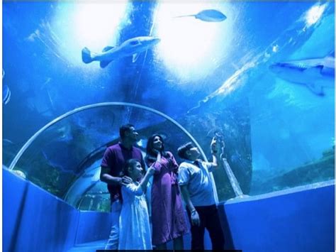 Aquariums India .